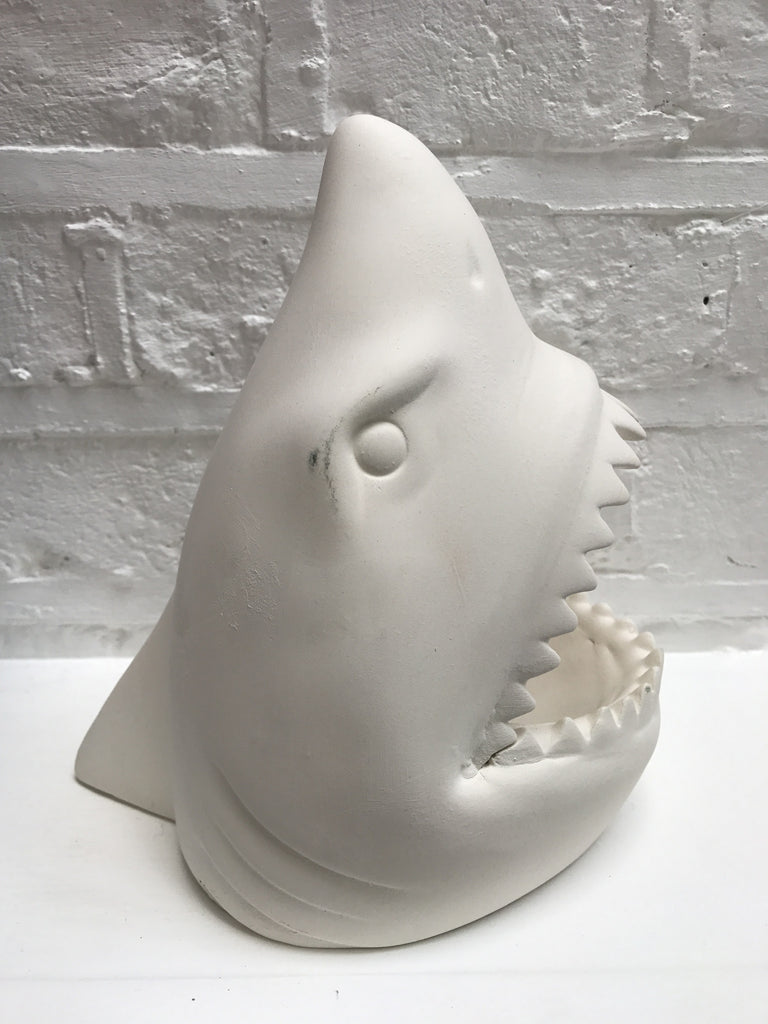 Shark head