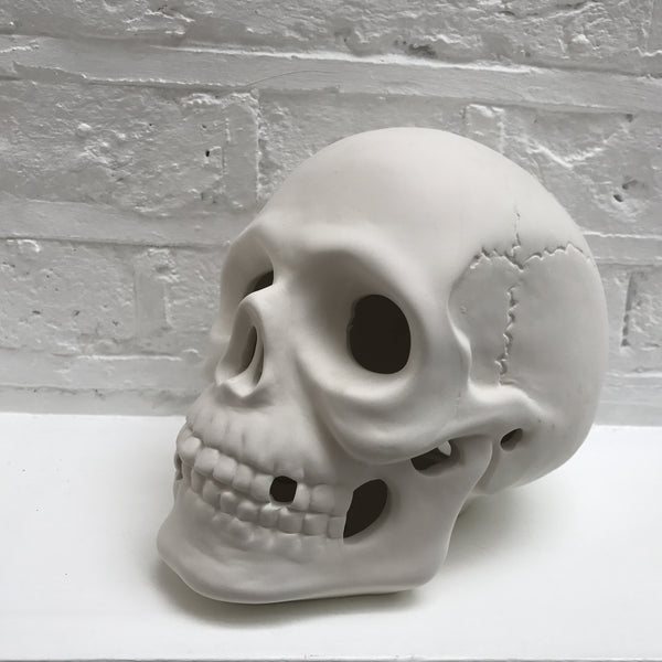 Skull large