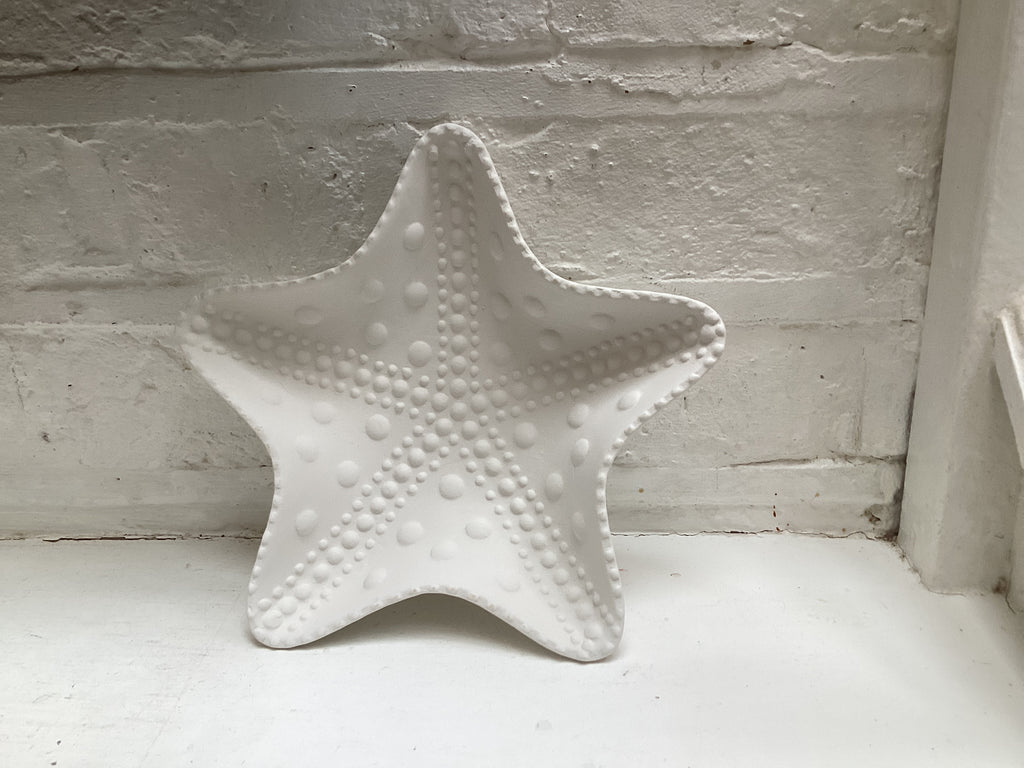 Starfish dish