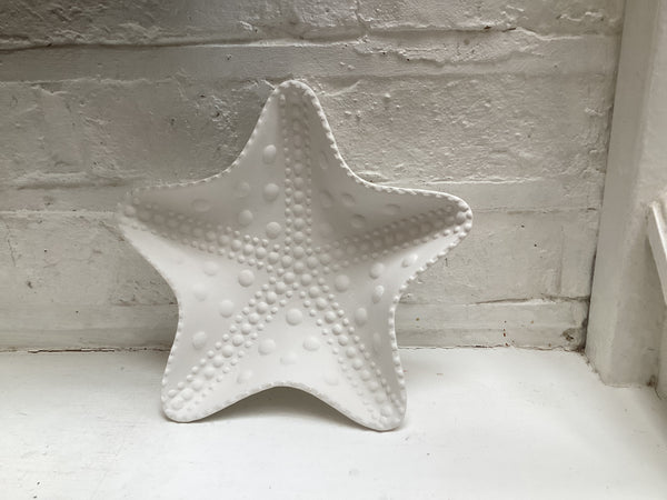 Starfish dish